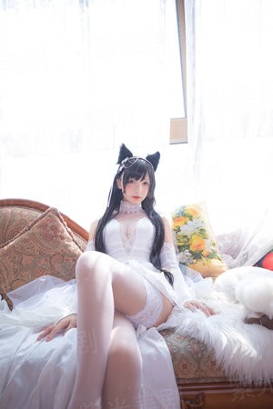 通告