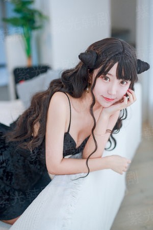野良猫