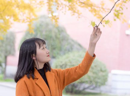 古墓奇谭2穿越死亡海