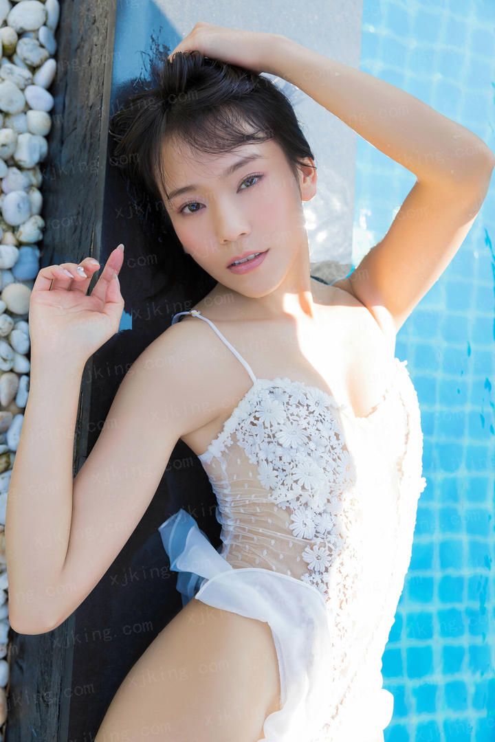 小淘气尼古拉的假期