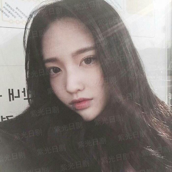 布鲁伊第三季