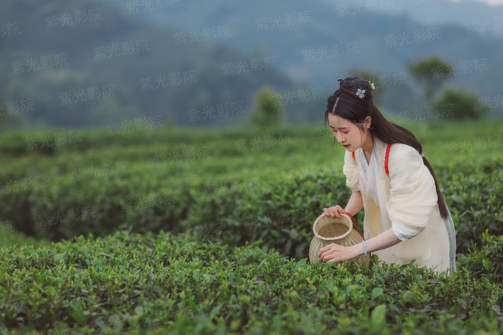 只愿君心似我心