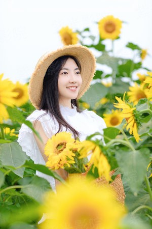 繁花 国语版
