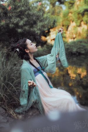 向阳花开