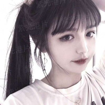 无颜之月樱花