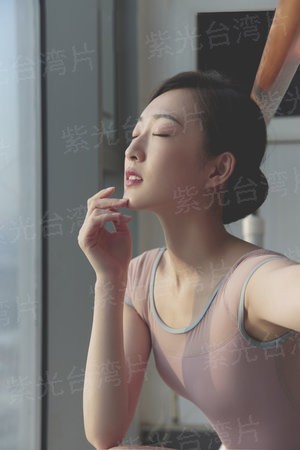 直言真相第二季
