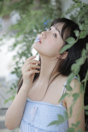 我能看到成功率第四季