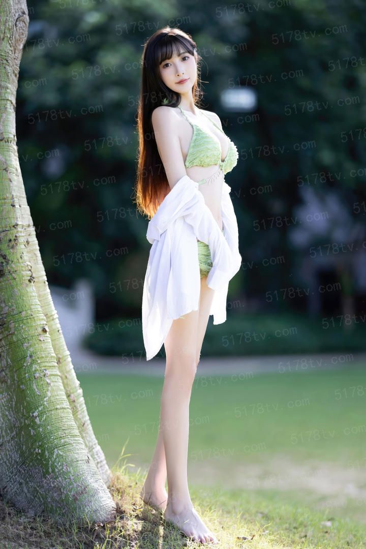真假东宫