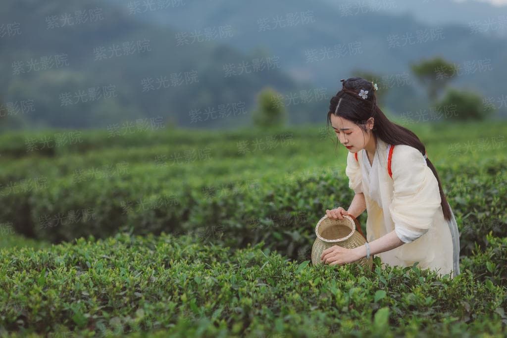 警长索恩：贪睡鬼