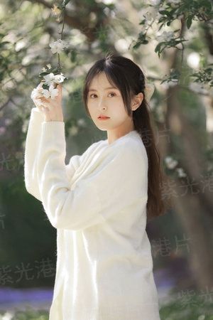 罗姆