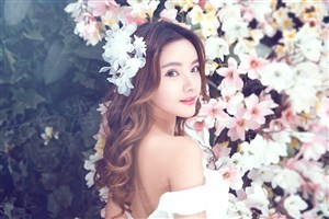 绿头苍蝇