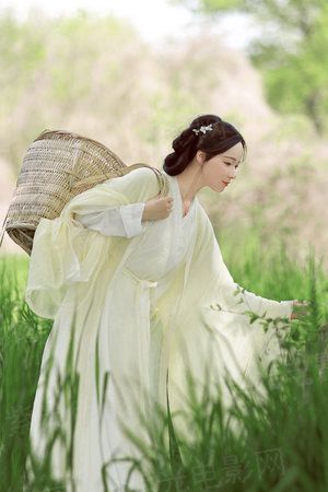 黄飞鸿之西域雄狮 普通话