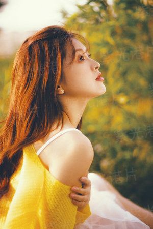 爱情故事2006