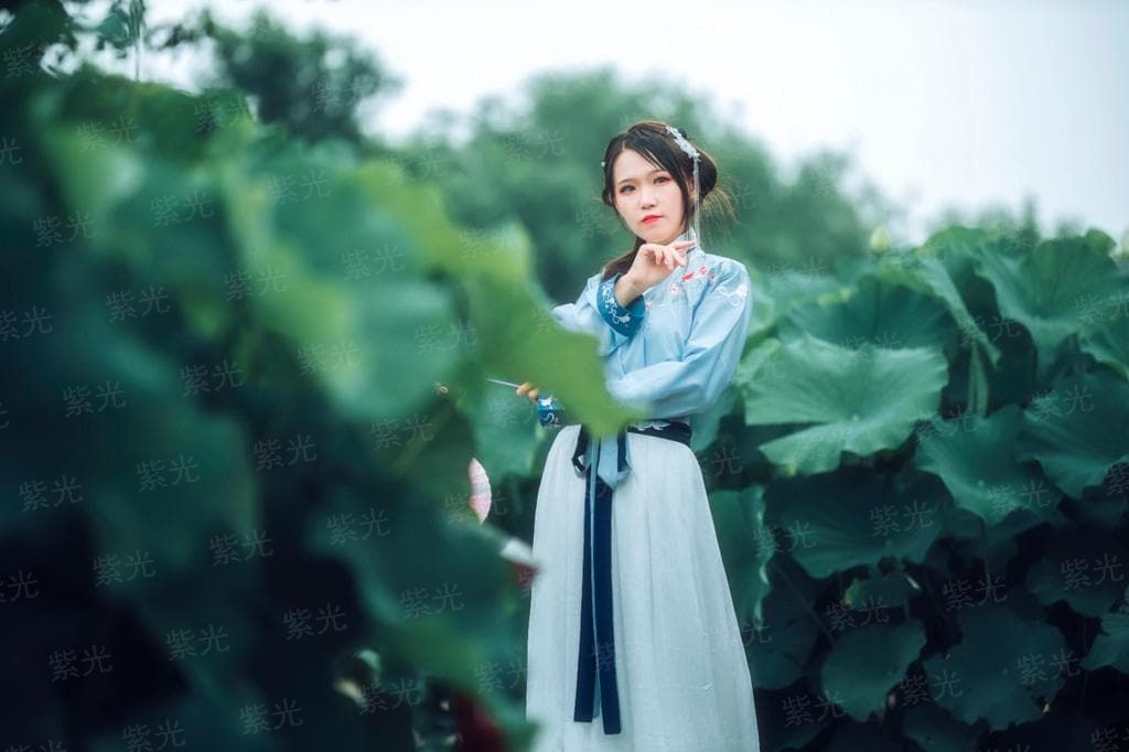玛丽莲