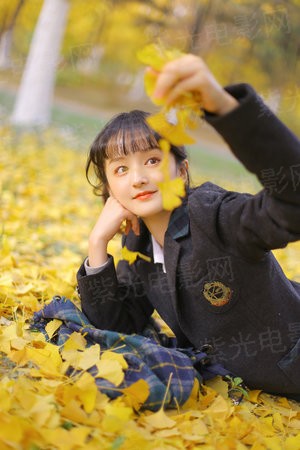 春光灿烂猪九妹
