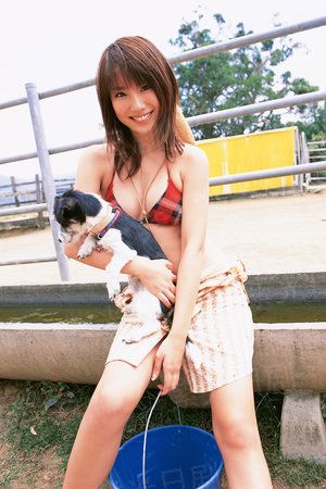 改编已经开始
