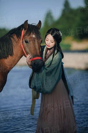 家的港湾第四季